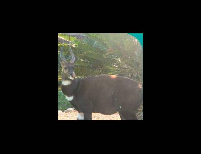 LAND FOR SALE IN DANA BAY